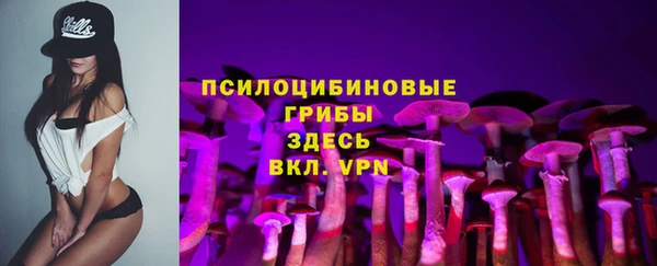 тгк Краснослободск