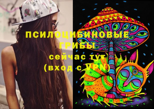 крисы Краснотурьинск